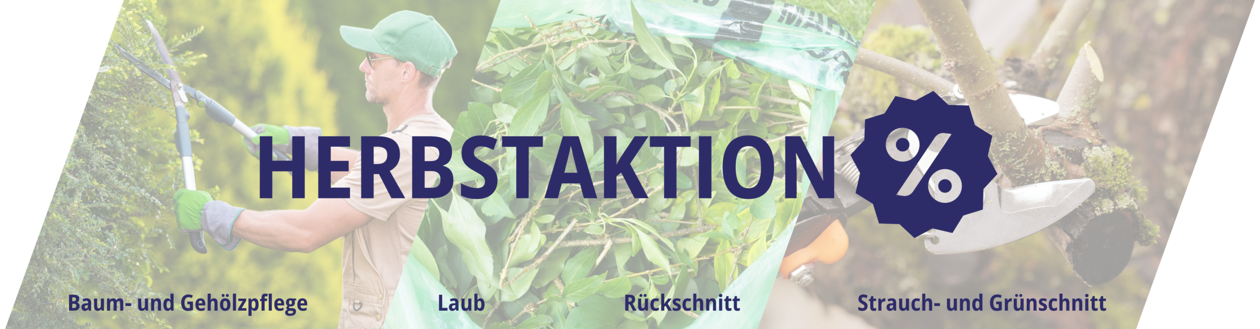 herbstaktion banner homepage (1)